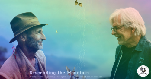 DTM%20event%20FB%20couv